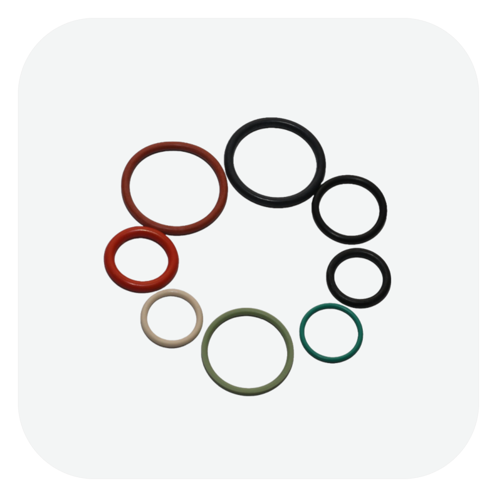 O Rings - Multi colour